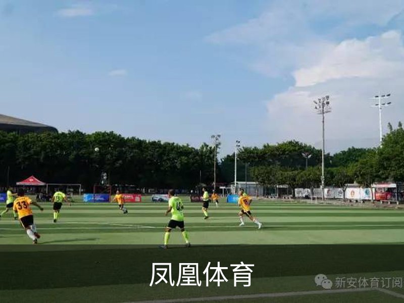 凤凰体育简介